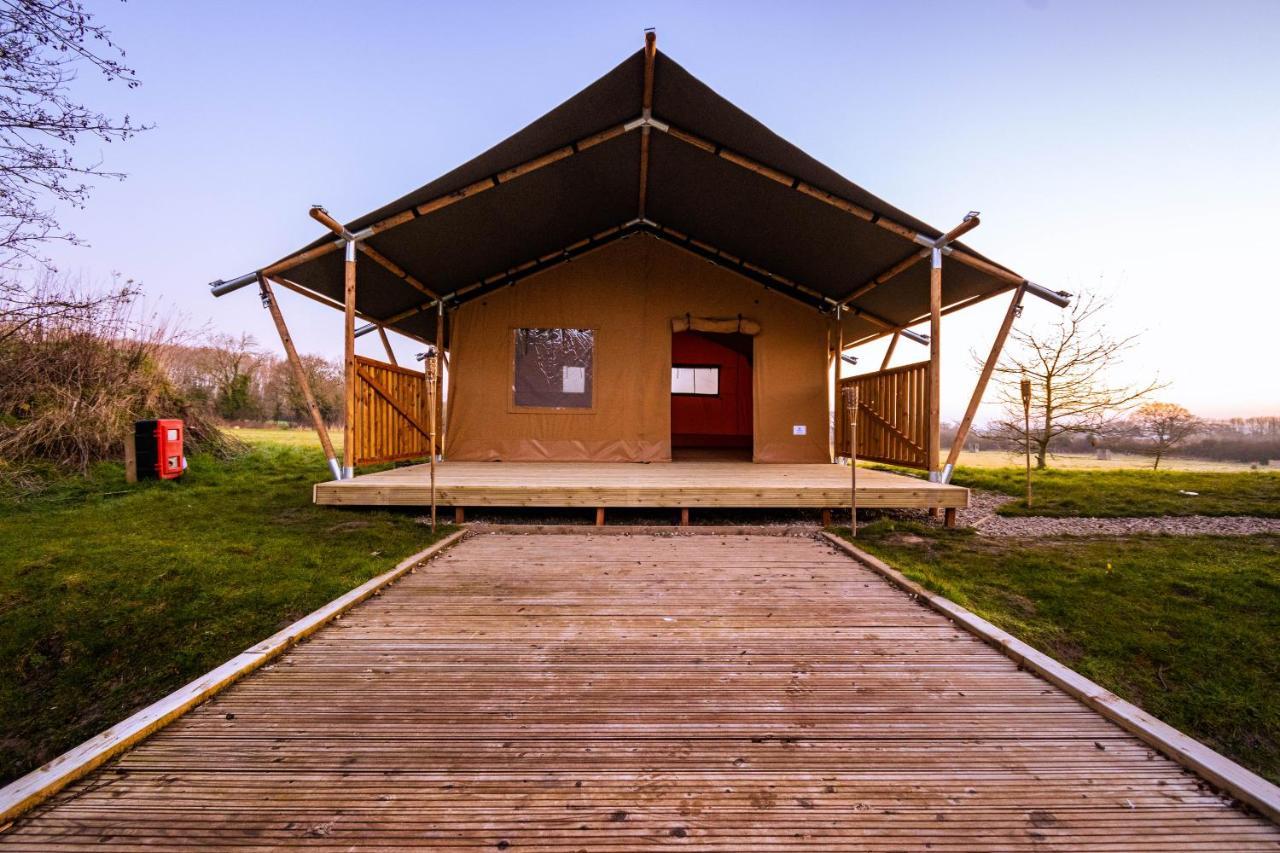 Arcadia Safari Tent In Private 5 Acre Field Рексем Экстерьер фото